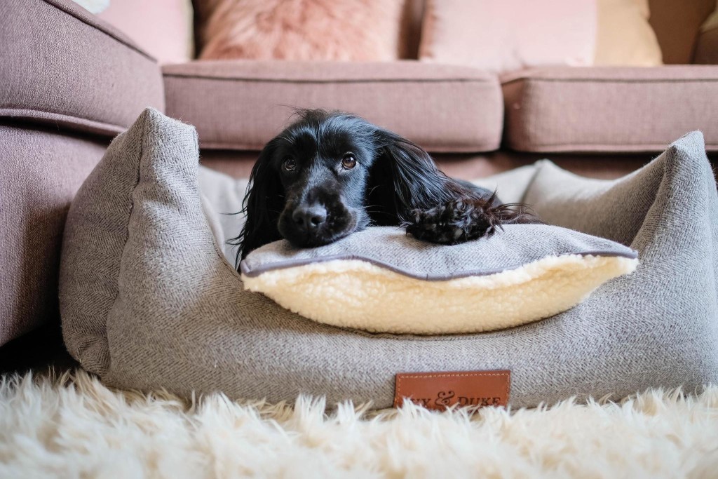 Ivy & Duke - Hand Made Luxury Dog Beds